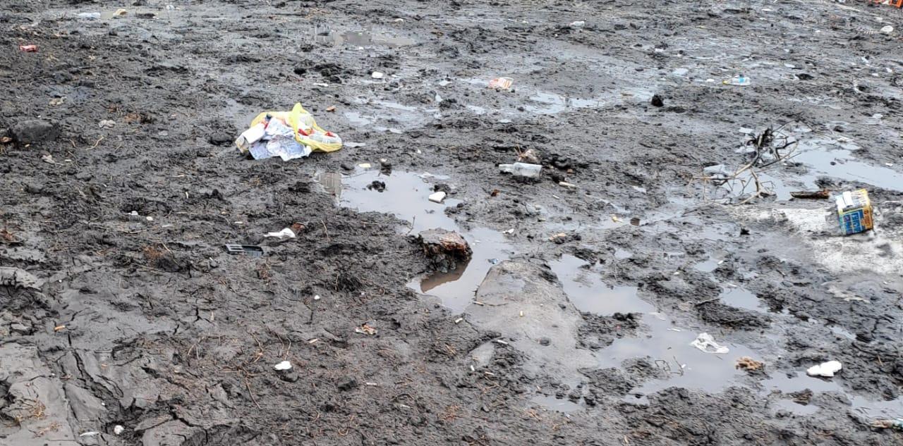 Фото «Город-помойка»? Новосибирцы возмущаются из-за гор мусора в мегаполисе. Фоторепортаж 14